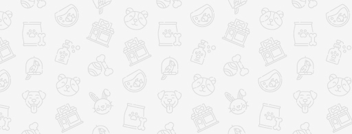 Animo - Animo - murybudu