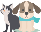 animo-adopter un chiens