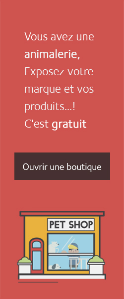 Animo - Vétérinaires