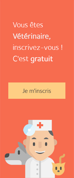 Animo -Vétérinaires